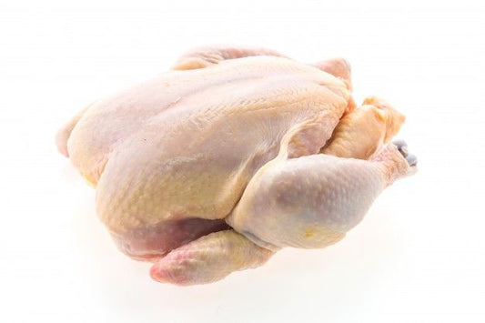 دجاج